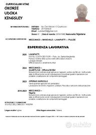 Meccanico Manovale Lavapiatti Pulizie