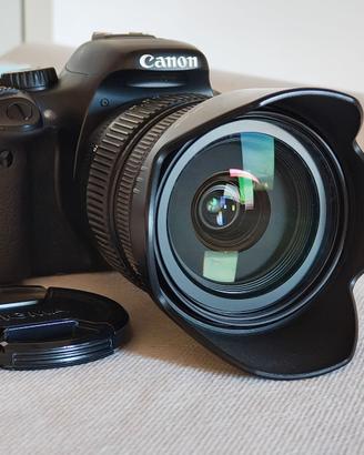 Canon 550D + Sigma 17-70mm f/2.8-4 Macro DCHSM