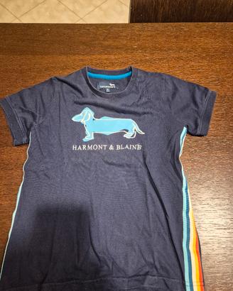 maglietta e camicia bambino, trussardi e h. blaine