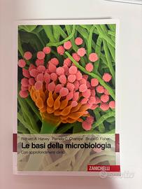 Le basi della microbiologia