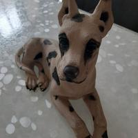 CANE ALANO ARLECCHINO