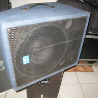 Casse spia per concerti 180W