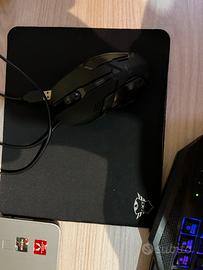 Mouse