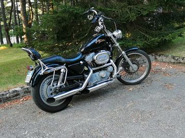 harley davidson 883 custom 