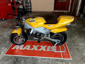 Aspess Power Altro modello - 2019