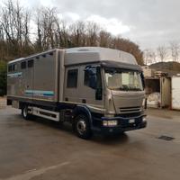 Van trasporto cavalli