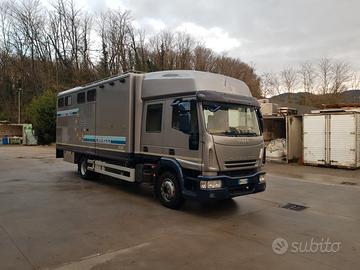 Van trasporto cavalli