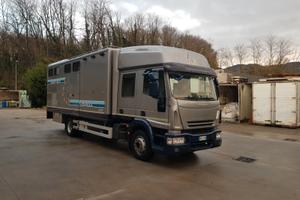 Van trasporto cavalli