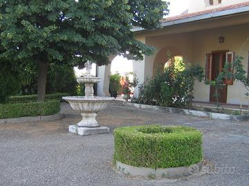 Villa C/da Grotticelli Caltanissetta