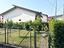 Immagine 15