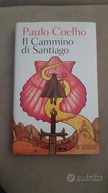 Paulo coelho il cammino di santiago
