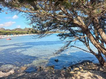Appartamento vista mare libero dal 07/10/26