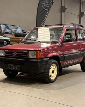 FIAT Panda 1ª serie 1000 4x4 Trekking