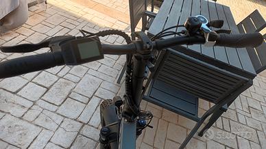 Bicicletta elettrica