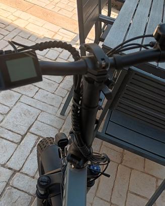Bicicletta elettrica