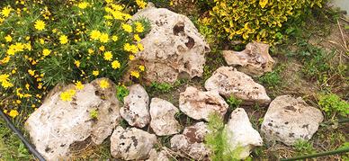 Rocce pietre da giardino