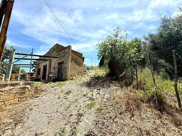 RUSTICO A TRABIA
