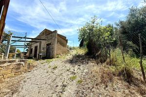 RUSTICO A TRABIA