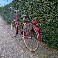 Holland bici da donna