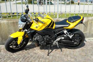 Yamaha FZ1 Naked
