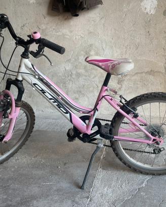 Bicicletta