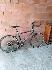 Biciclette uomo moutain bike