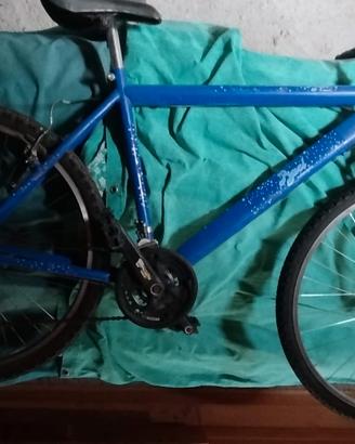 Mountain bike 