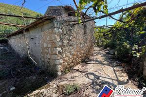 Terreno agricolo - Fondi