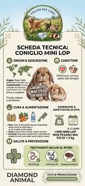 Minilop
