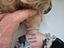 Immagine 5