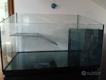 Acquario per tartarughe d'acqua 