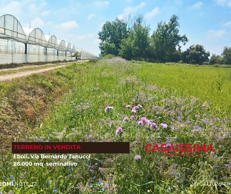 Terreno agricolo seminativo irriguo 28.000 - View 4