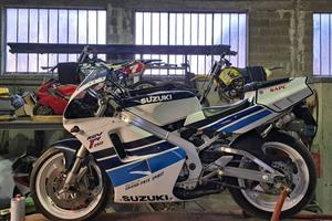 suzuki rgv 250