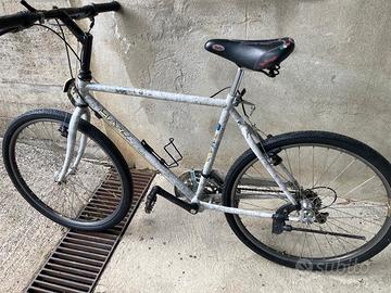 Bicicletta MTB Hazard Campagnolo 