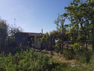 Terreno zona industriale Follonica