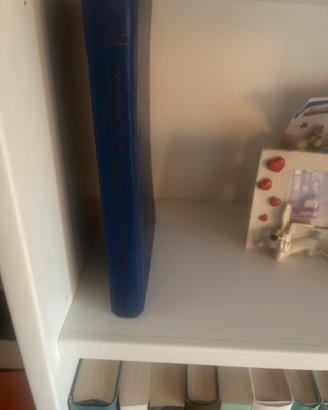 Romanzo I Promessi Sposi