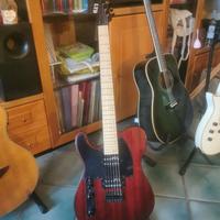 Ltd te-200 mancina