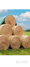 Fieno per animali
