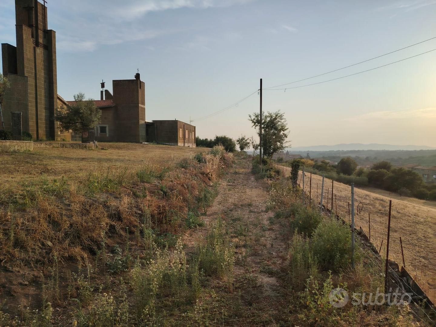 Terreno agricolo Cellere - Vista 2