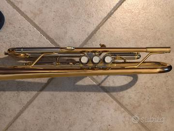 Tromba Jupiter in Sib