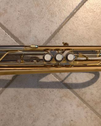 Tromba Jupiter in Sib