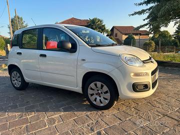 Panda 1.2 POP 2019