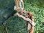 Immagine 2