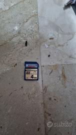 6111-Scheda Memoria SD 4GB