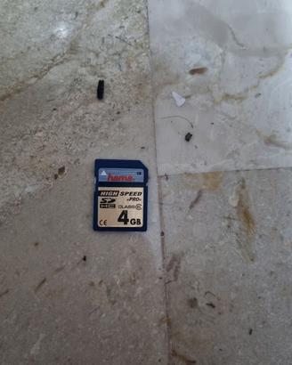 6111-Scheda Memoria SD 4GB