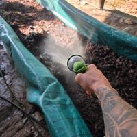 Humus di letame bufalino, di lombrichi 