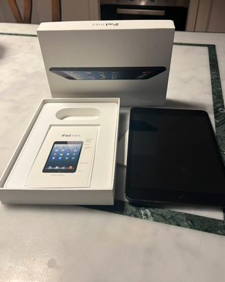 iPad mini