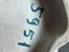 Immagine 6