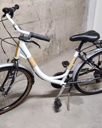 Bicicletta passeggio