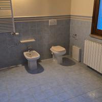 Coppia Bidet + WC Ideal Standard